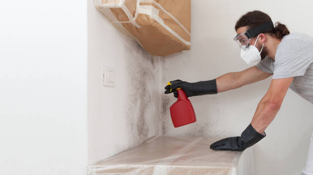 Professional Bathroom Mold Removal technician working in Durham, OR